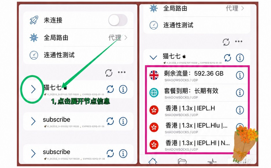 点订阅左边的「>」展开，看到节点列表、剩余流量与套餐到期
