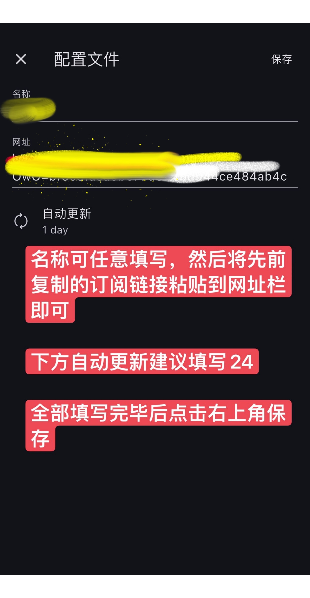 填写名称、粘贴订阅链接、自动更新 24 小时，点击保存