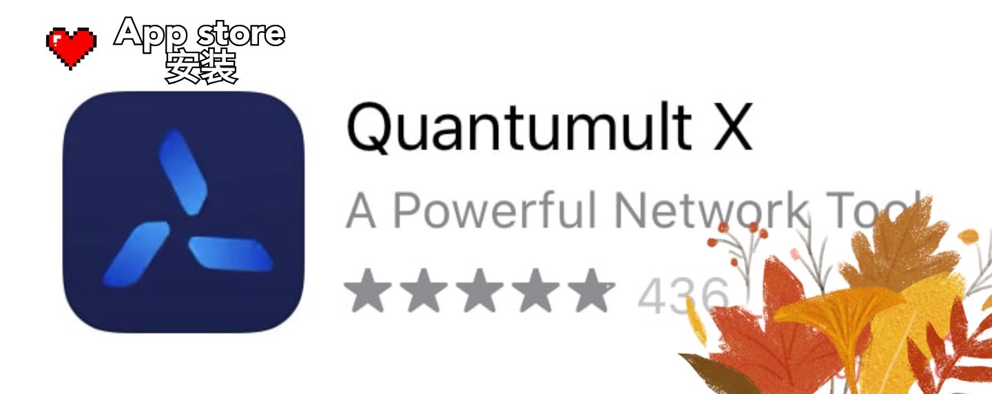美区 App Store 购买安装 Quantumult X